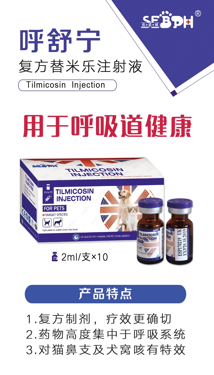 呼舒宁 拷贝.jpg